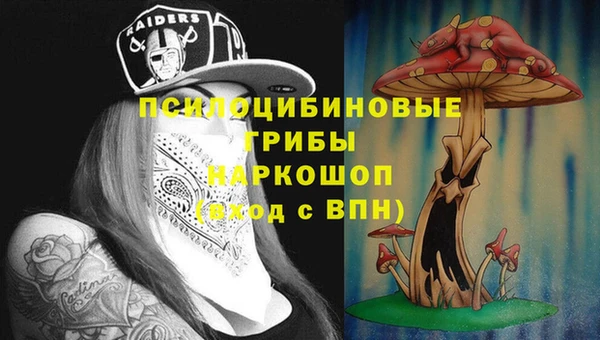 скорость Белокуриха