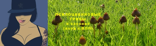 скорость Белокуриха