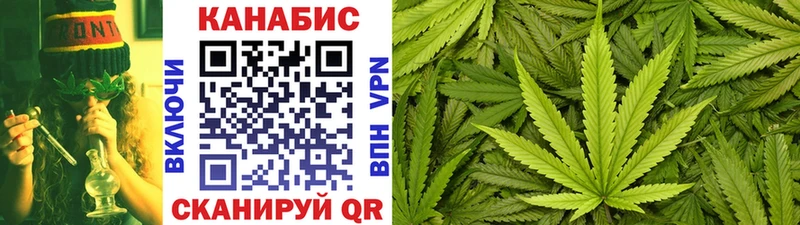Конопля гибрид  Тюкалинск 